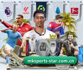 mk体育 APP